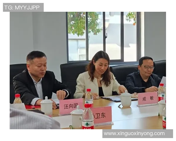 南京足球队战术解析与未来发展方向的深度探讨