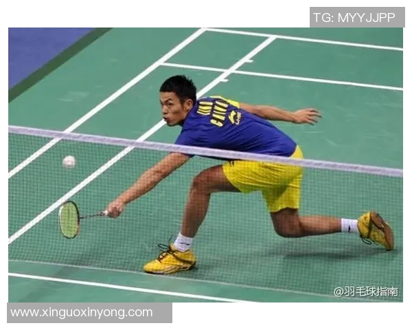 武汉羽毛球队转换打法解析与战术创新的深度剖析